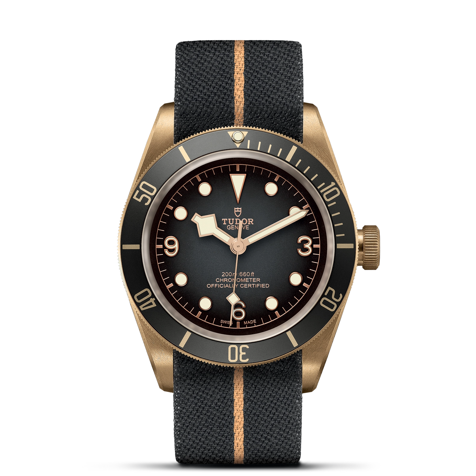 Black Bay Bronze