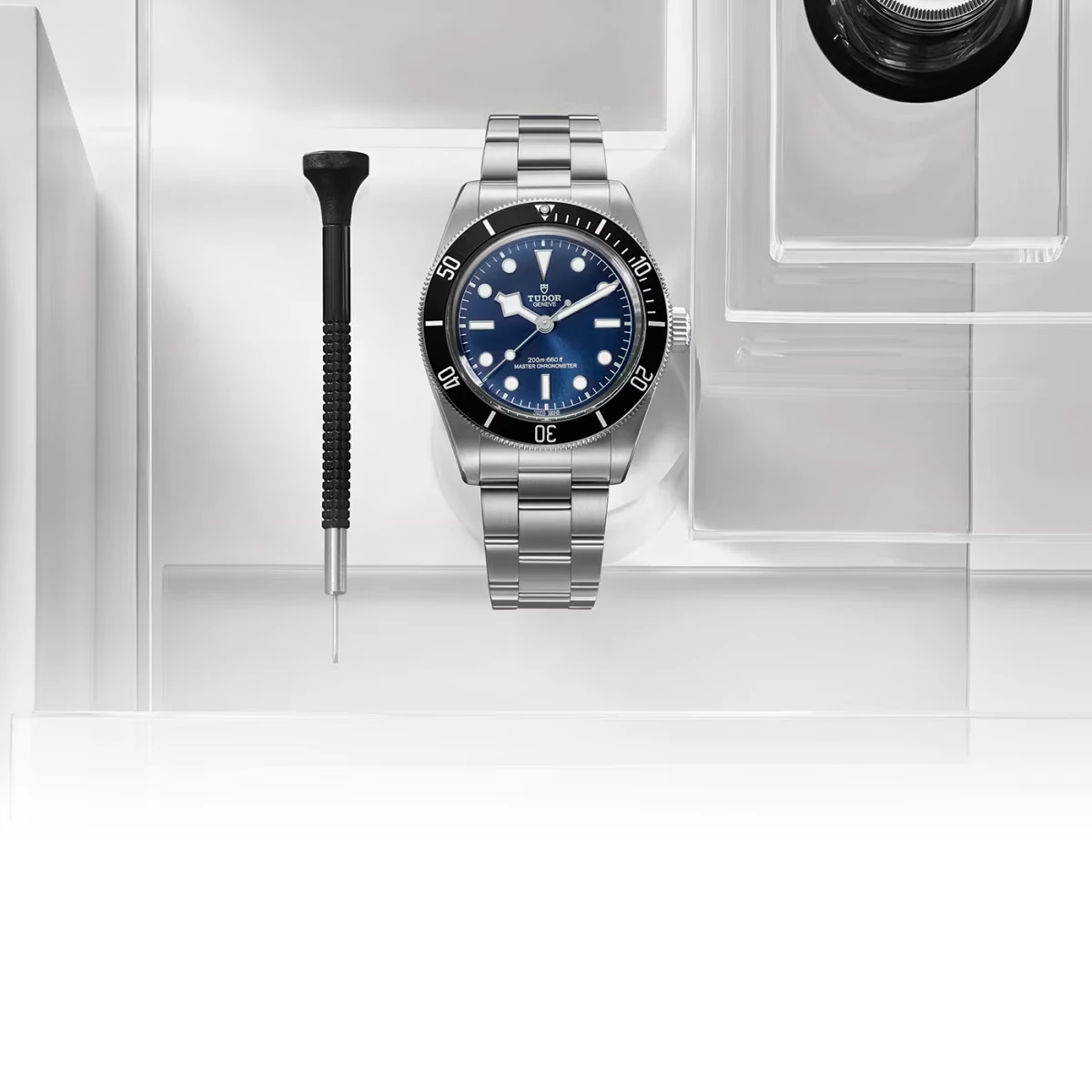 TUDOR