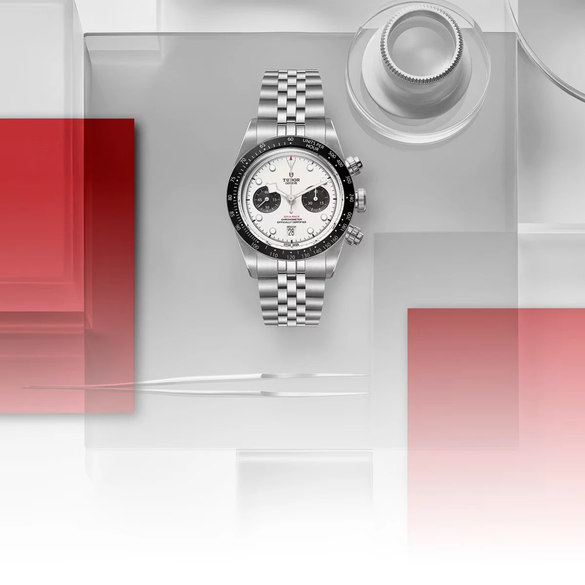 TUDOR